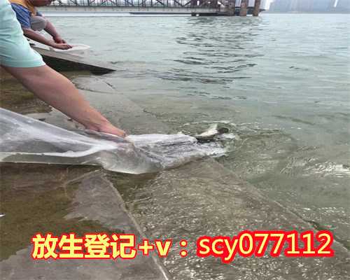 扬州寺庙放生团,扬州适合放生鱼的河流,扬州扬州哪里可以放生