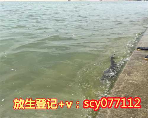 阳江松江放生池，阳江放生仪轨完整版全文，放生仪式的流程