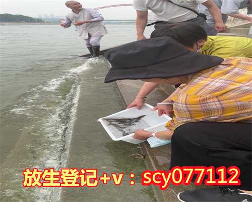 广东放生的湖哪里，全国放鱼日，广东放生鱼虾苗近2亿尾