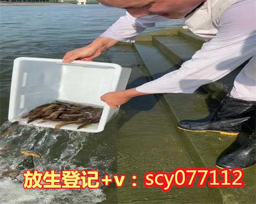 杭州放生园放生蝎子，杭州市民放生40多只小鳄龟民警称不是神龟别乱放生
