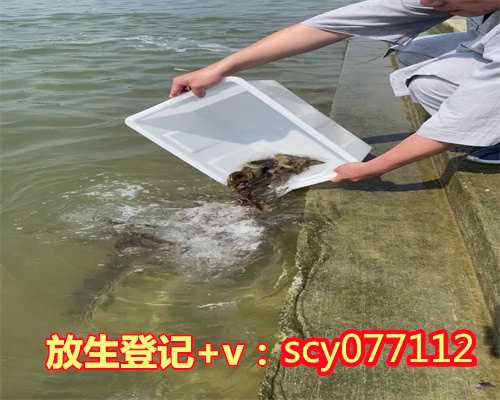 苏州放生的鱼哪里买的，江苏苏州圣堂寺举行水陆空法会圆满送圣