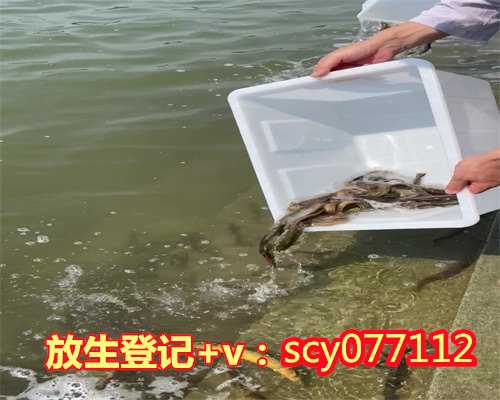 柳州放生黑鱼,柳州放生乌龟什么时间去最好,柳州放生组的联系方式