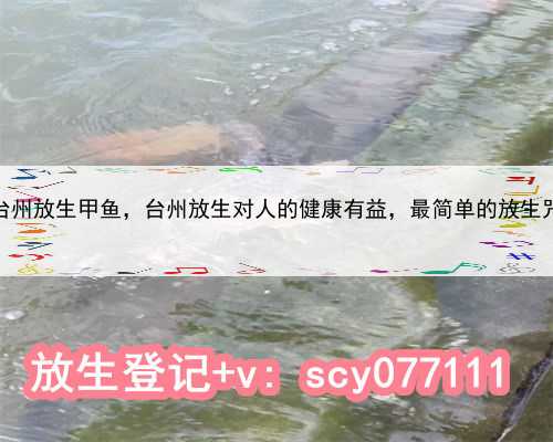 台州放生甲鱼，台州放生对人的健康有益，最简单的放生咒
