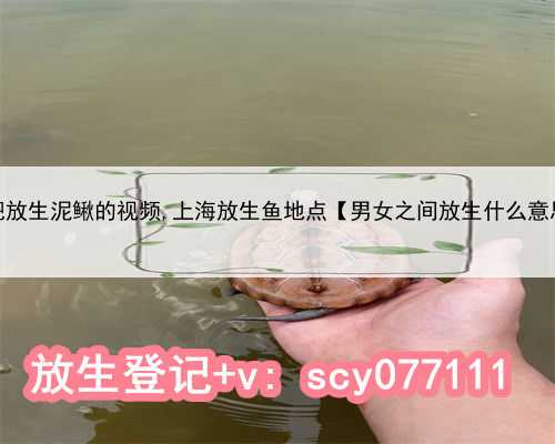 合肥放生泥鳅的视频,上海放生鱼地点【男女之间放生什么意思】