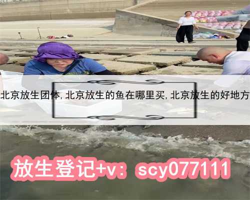 北京放生团体,北京放生的鱼在哪里买,北京放生的好地方