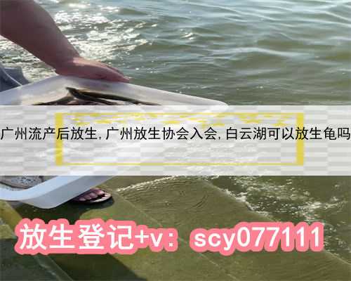 广州流产后放生,广州放生协会入会,白云湖可以放生龟吗