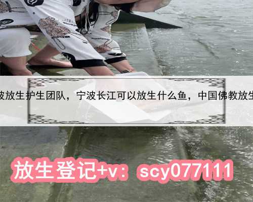 宁波放生护生团队，宁波长江可以放生什么鱼，中国佛教放生网