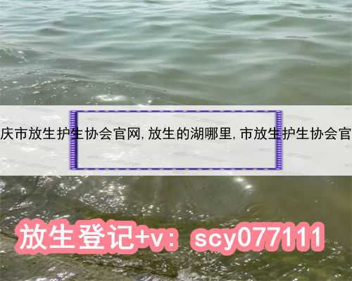 重庆市放生护生协会官网,放生的湖哪里,市放生护生协会官网