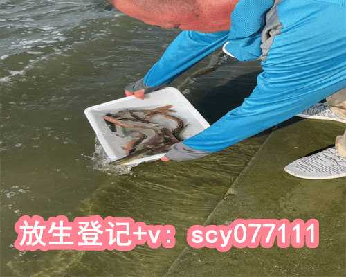 广州代放生的鱼从哪里买，广州光孝寺开展春节前消防安全演习