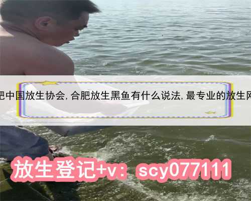 合肥中国放生协会,合肥放生黑鱼有什么说法,最专业的放生网站