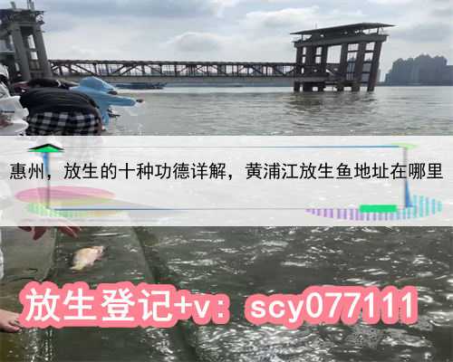 惠州放生的十种功德详解，黄浦江放生鱼地址在哪里
