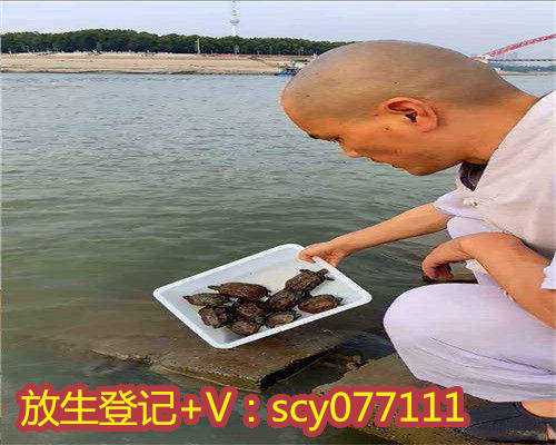 重庆放生视频，捕捞放生鱼的果报